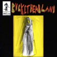 /album/buckethead/buckethead-once-upon-a-distant-plane-jpg/